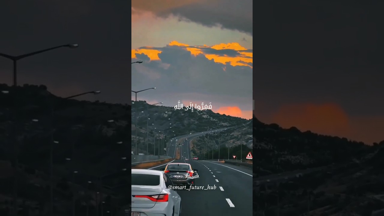 The Quran’s Call: Run Towards Allah, Leave All Else☝️