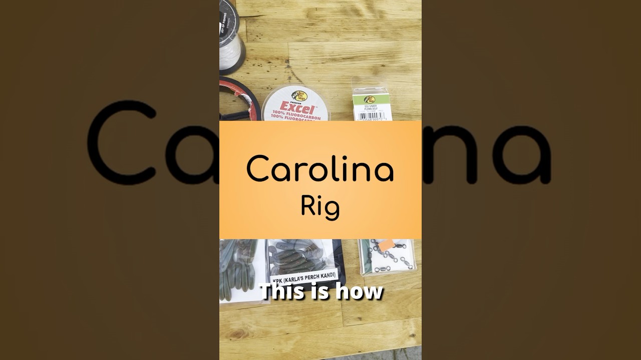 How To: Carolina Rig For Surf Perch