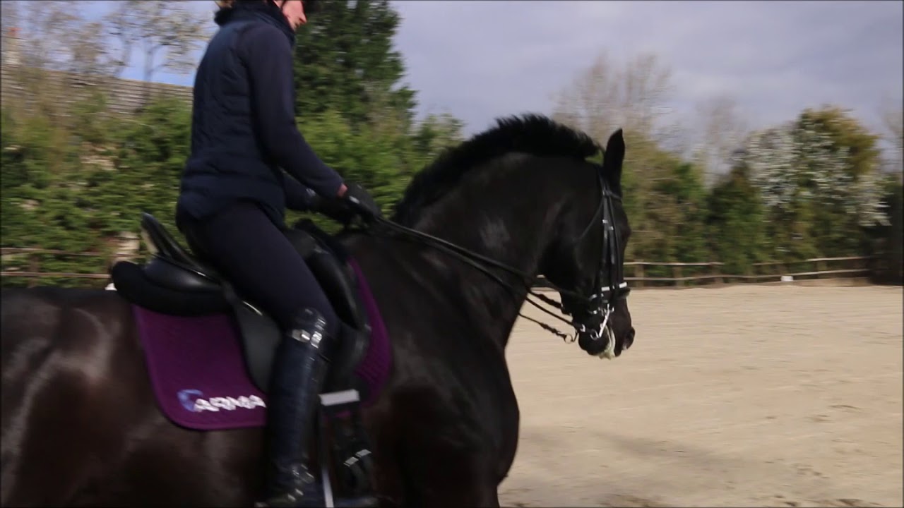Flying changes - Developing Tempi Changes - Dressage training