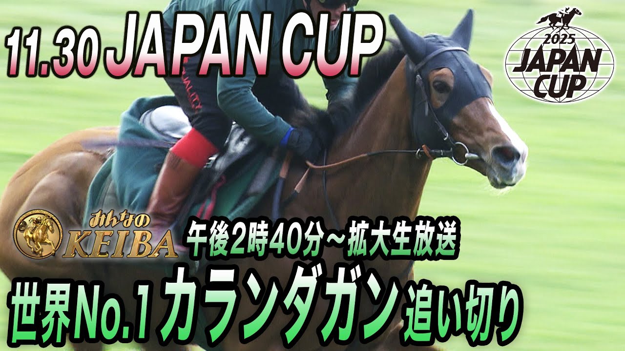 【2025 ジャパンカップ】世界ランキング1位のヨーロッパ王者カランダガン調教・追い切り映像！（6ハロン81・8ー12・2秒）　みんなのKEIBA11月30日午後2時40分拡大生放送