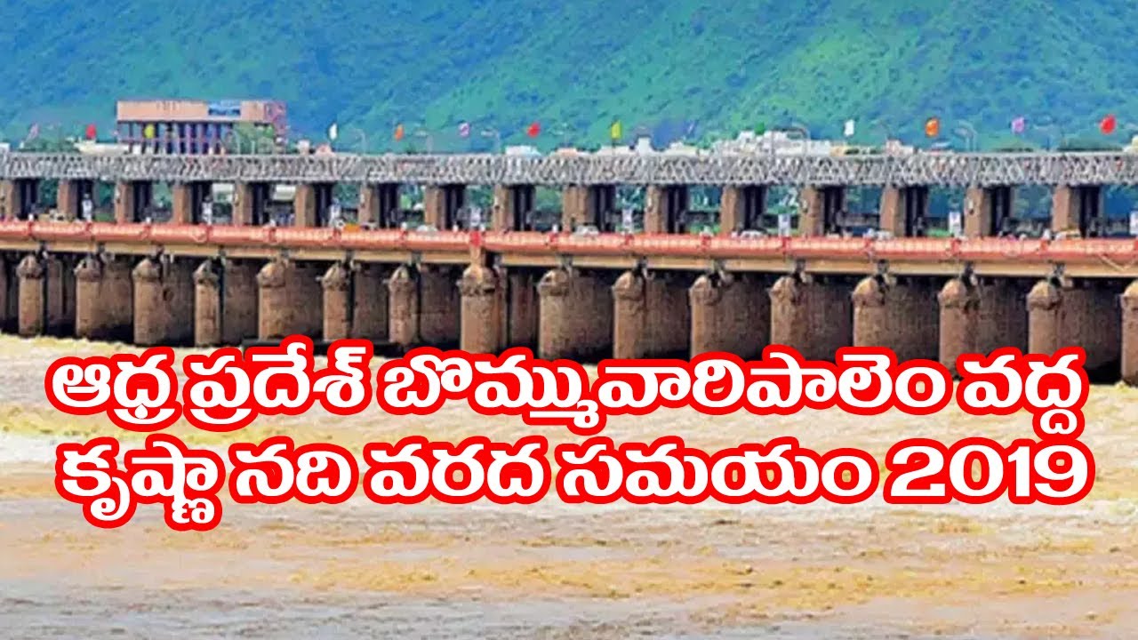 krishna river flood time 2019 at bommuvaripalem andhra pradesh #krishnariver