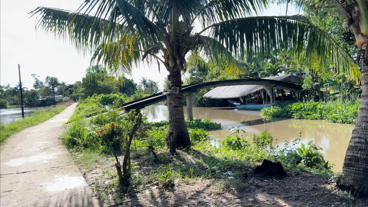 Khám Phá Vùng Quê Ấp Minh Long Xã Minh Hoà Kiên Giang 