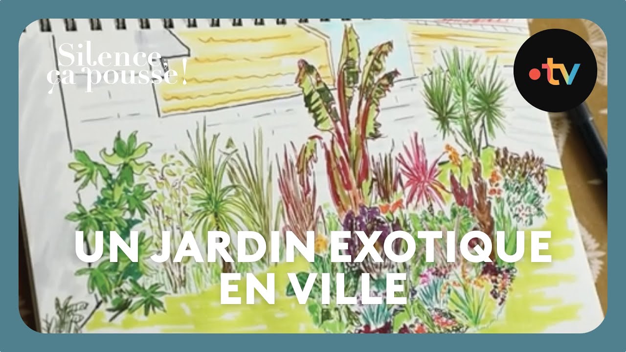 Pas de panique : un jardin exotique en ville - Silence, ça pousse ! 19 octobre 2024