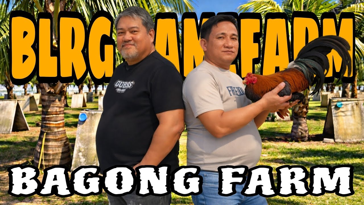 Marami ka matutunan Kay boss Lowell at boss Reagan blrg GAMEFARM