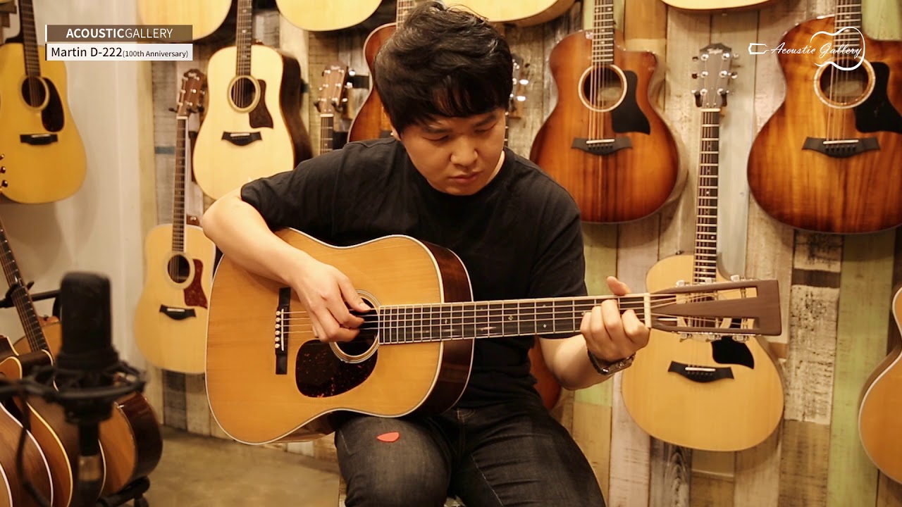 [A.GaL] Martin D-222 100th Anniversary