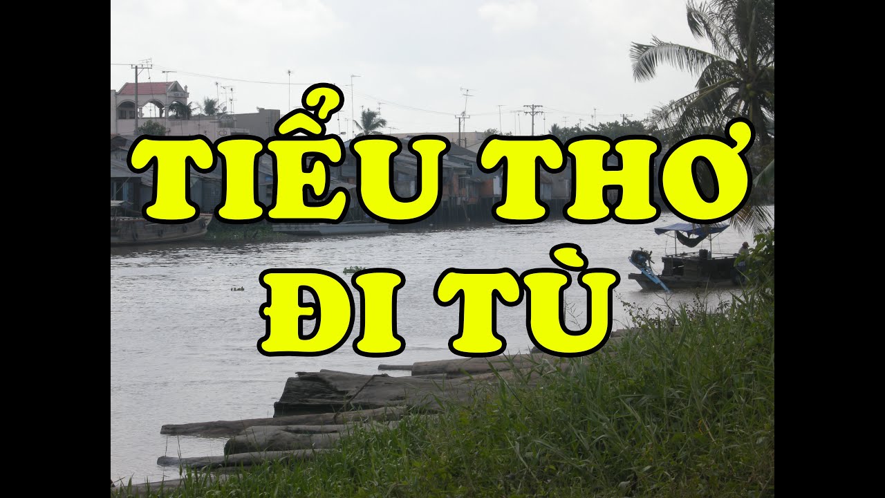 Hồi Ký Miền Nam | Tiểu Thơ Đi Tù