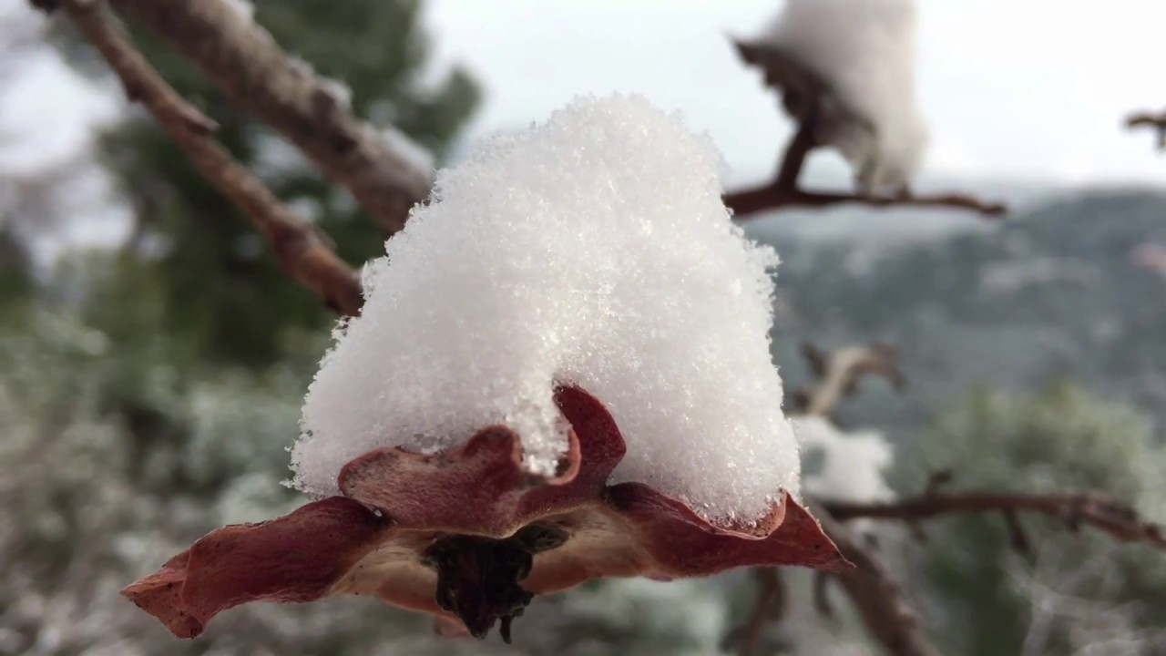 colomars sous la neige ( hivers 2018 )