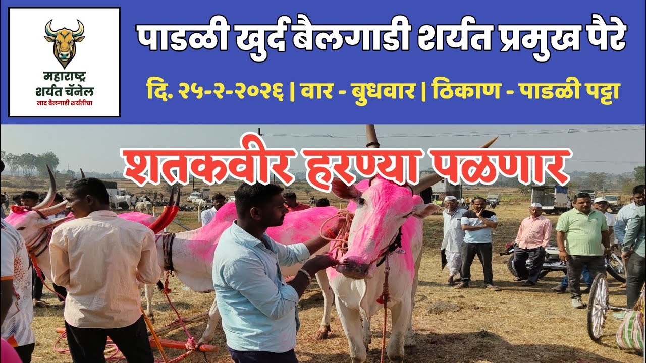 पाडळी खुर्द बैलगाडी शर्यत प्रमुख पैरे | शतकवीर हरण्या पळणार #पाडळी #हरण्या 