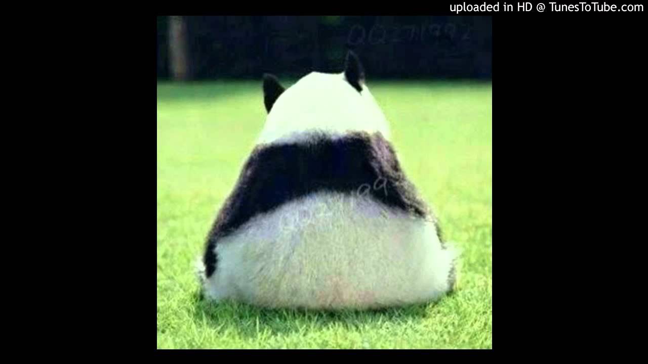 東籬 - 杯歡 [鋼琴獨奏譜 Lavenderlufer]