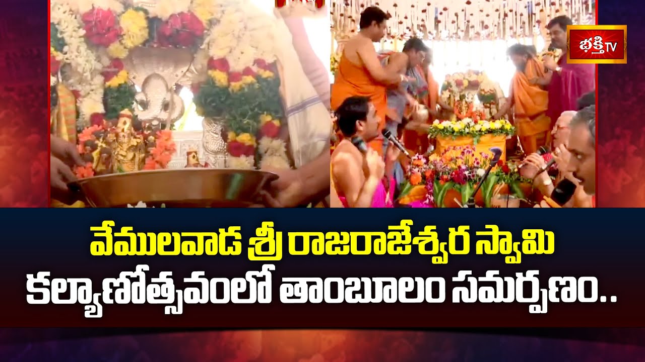 వేములవాడ శ్రీ రాజరాజేశ్వర స్వామి కల్యాణోత్సవంలో తాంబూలం సమర్పణం.. | Vemulawada Rajanna Kalyanam