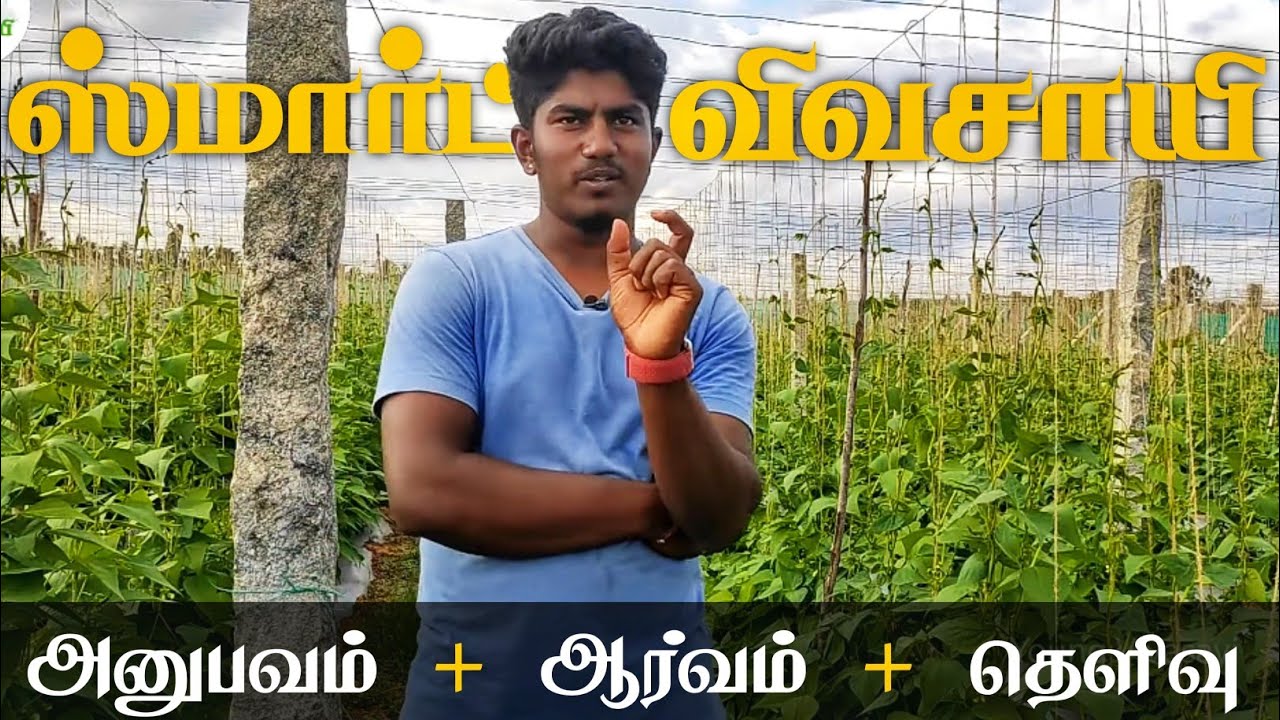 பீன்ஸ் வளர்ப்பின் மகத்தான லாபம் | Belly Beans | Bean Cultivation | Young Vivasayi |