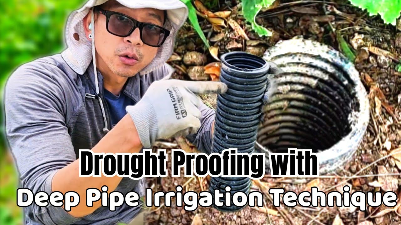 Drought-Proof Your Fruit Trees (and Save Water!)