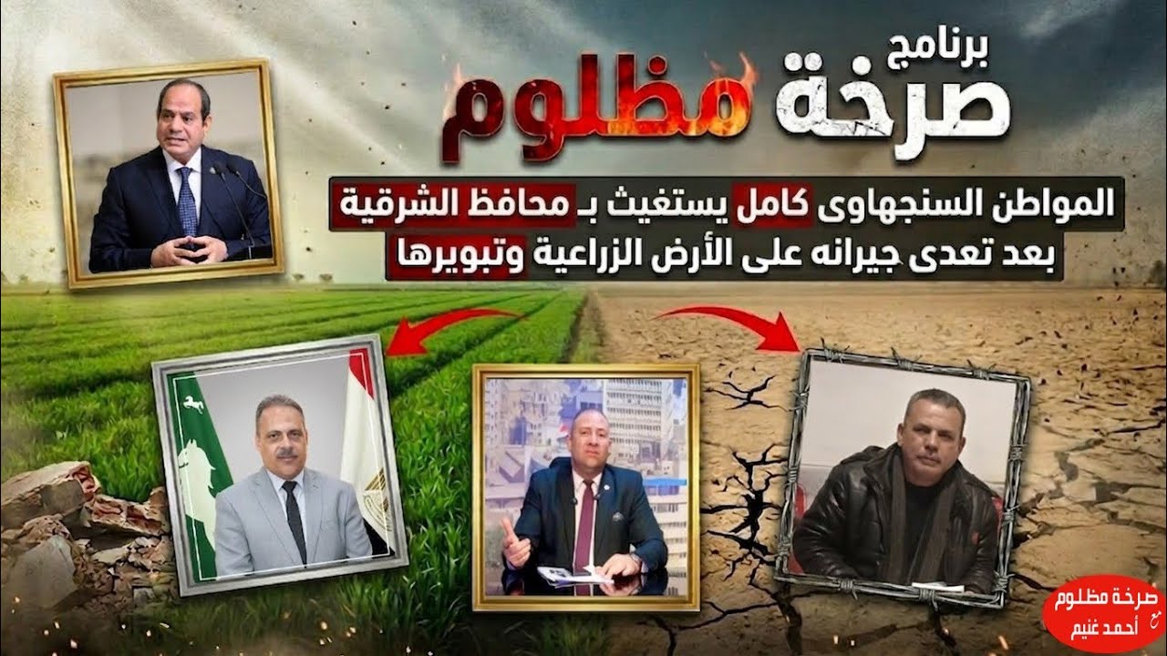 صرخة مظلوم|يستغيث بمحافظ الشرقية من جيرانه بعد تعديهم على الأرض الزراعية وتبويرها بالتلين منيا القمح