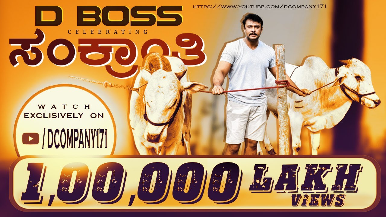 Sankranti Celebrations in DBoss Farm House Exclusive Video | Challenging Star Darshan| Dcompany|
