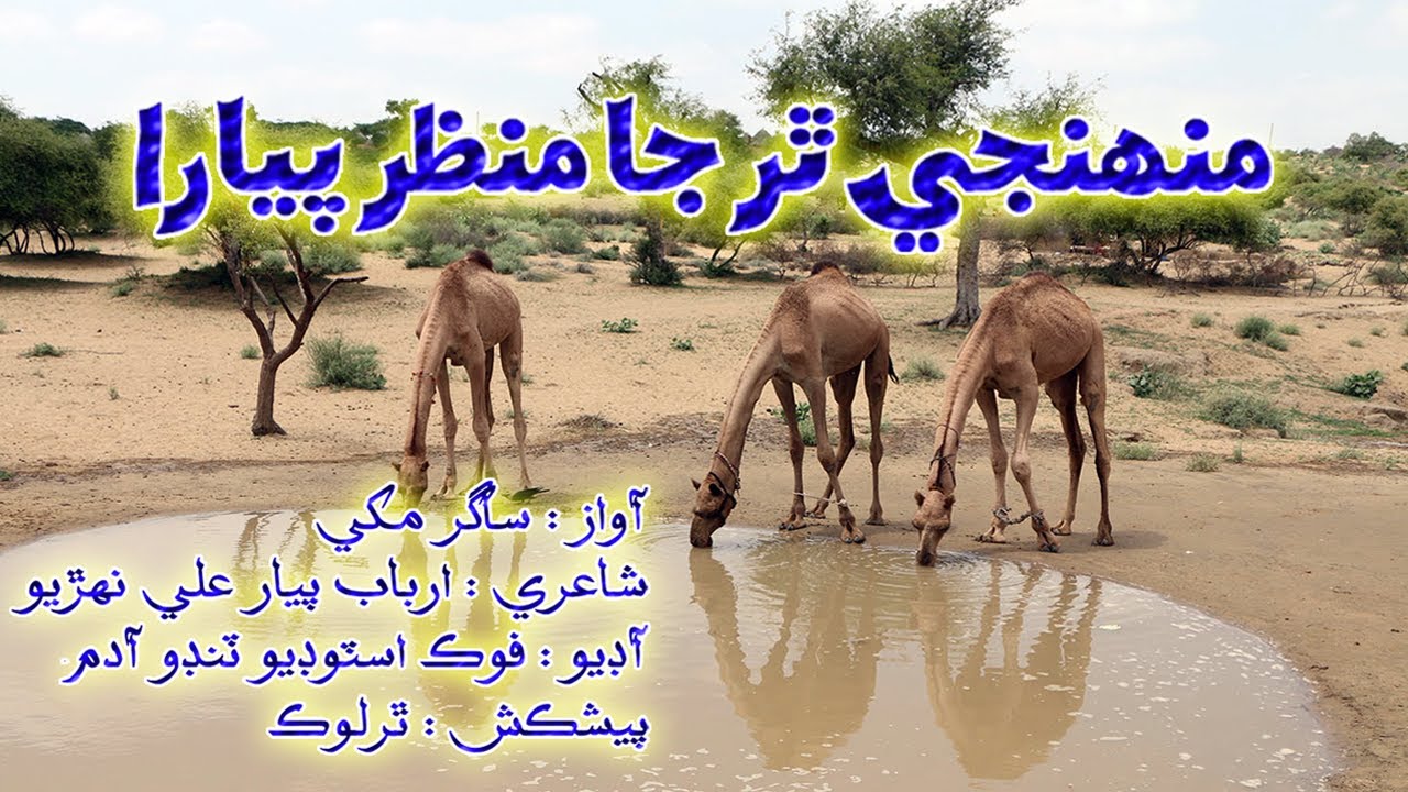 Muhinje Thar Ja Manzar Pyara | منهنجي ٿر جا منظر پيارا | TharLok