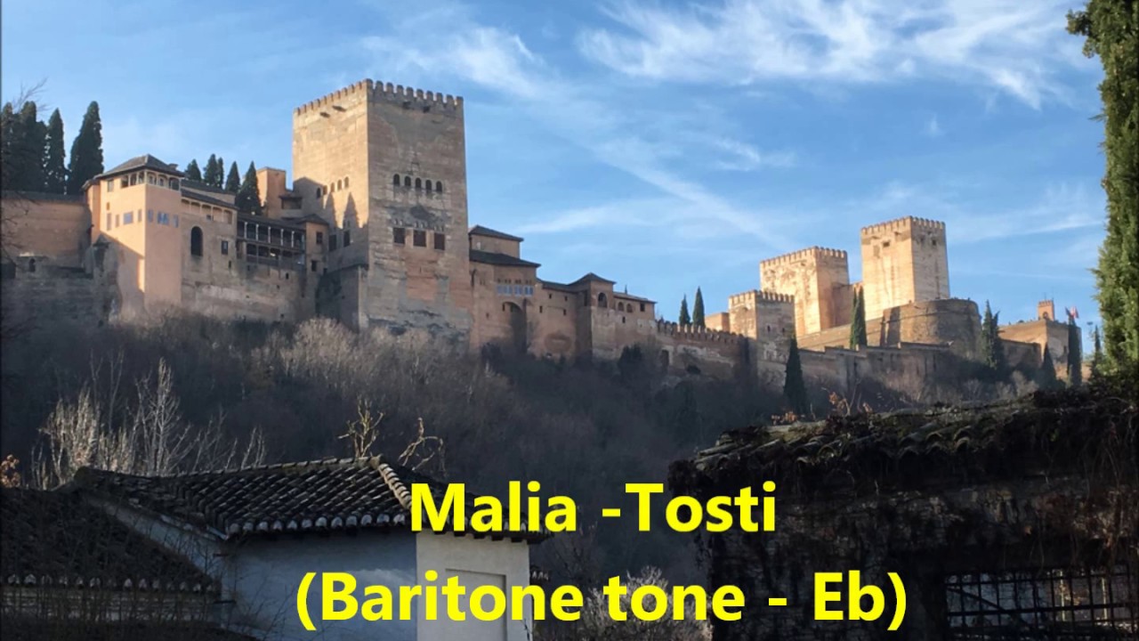 Malia - Tosti - karaoke for Baritone Tone Eb