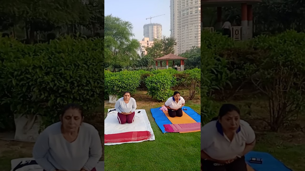 पार्क  में योग कक्षा का तीसरा दिन --पेट के लिए आसन