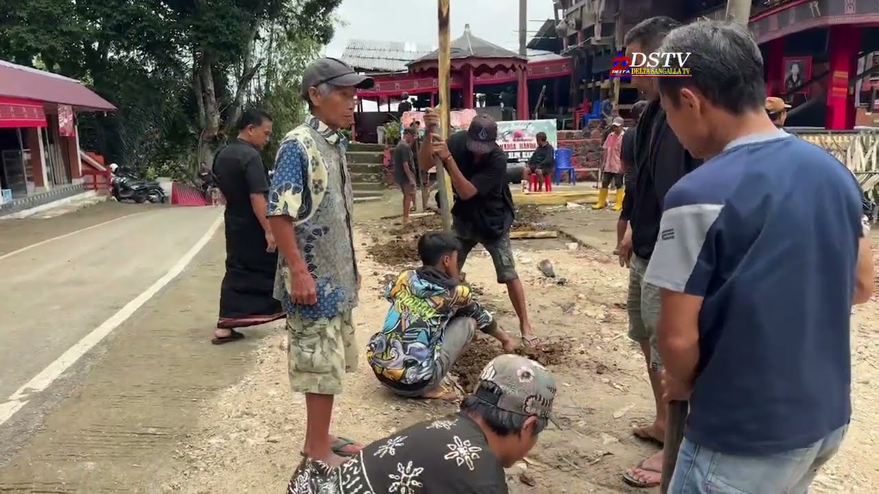 8 Mapalimbong Tedong Rambu Solo Almh. Maria Salea Randabunga' / Nenek Sembilan Jaya di Ariang