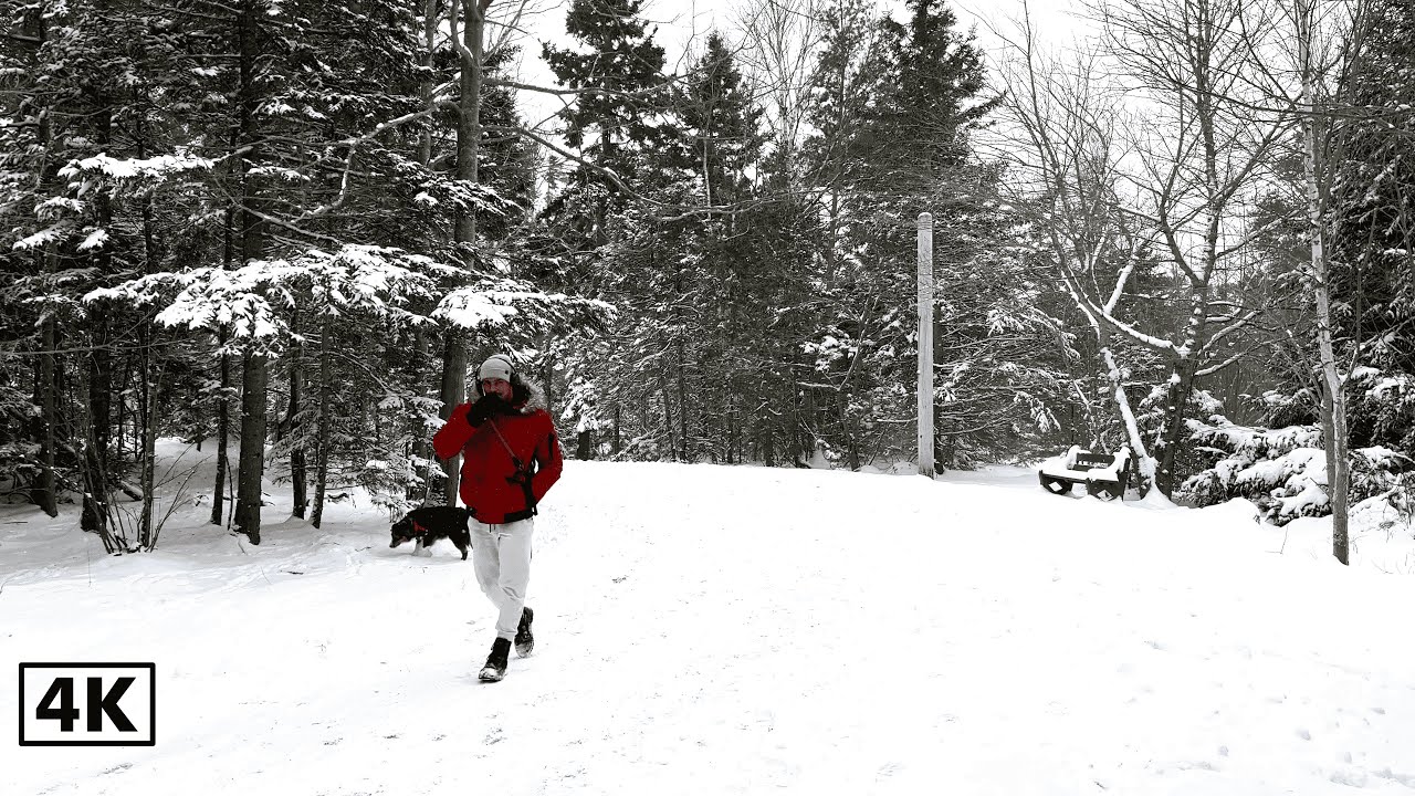 Point Pleasant Park, Halifax, Nova Scotia, Canada |  4k  Winter Season