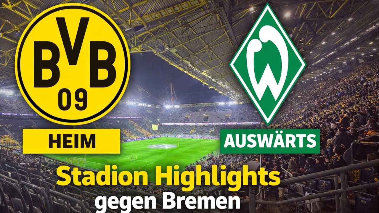 Stadion Highlights gegen Werder Bremen 🖤💛