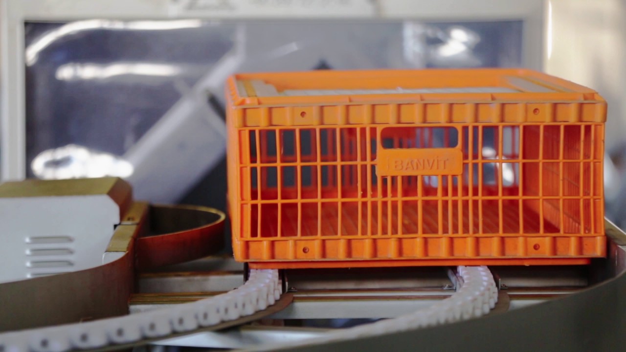 Kasa Yıkama Makinası ( Crate Washing System )