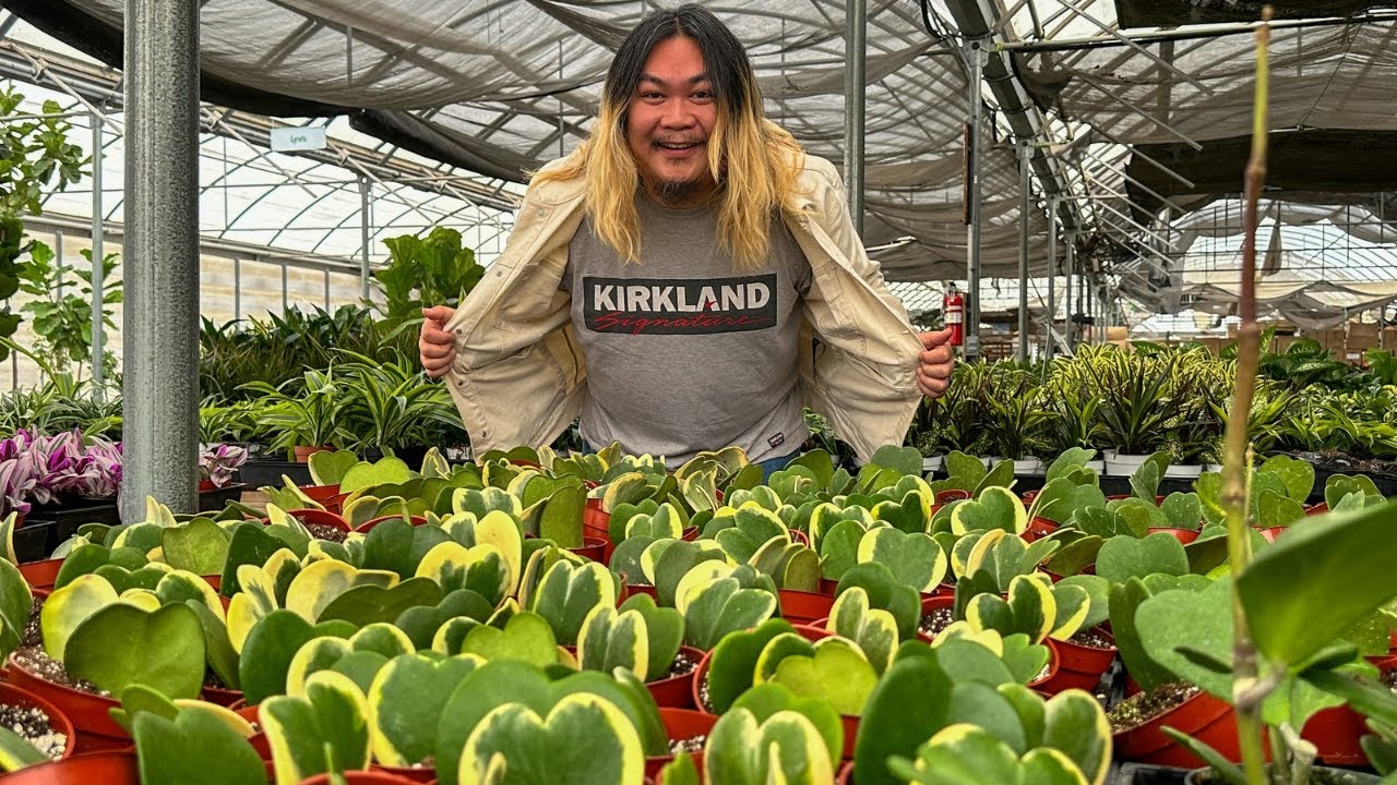 “It’s like Costco…for PLANTS!”