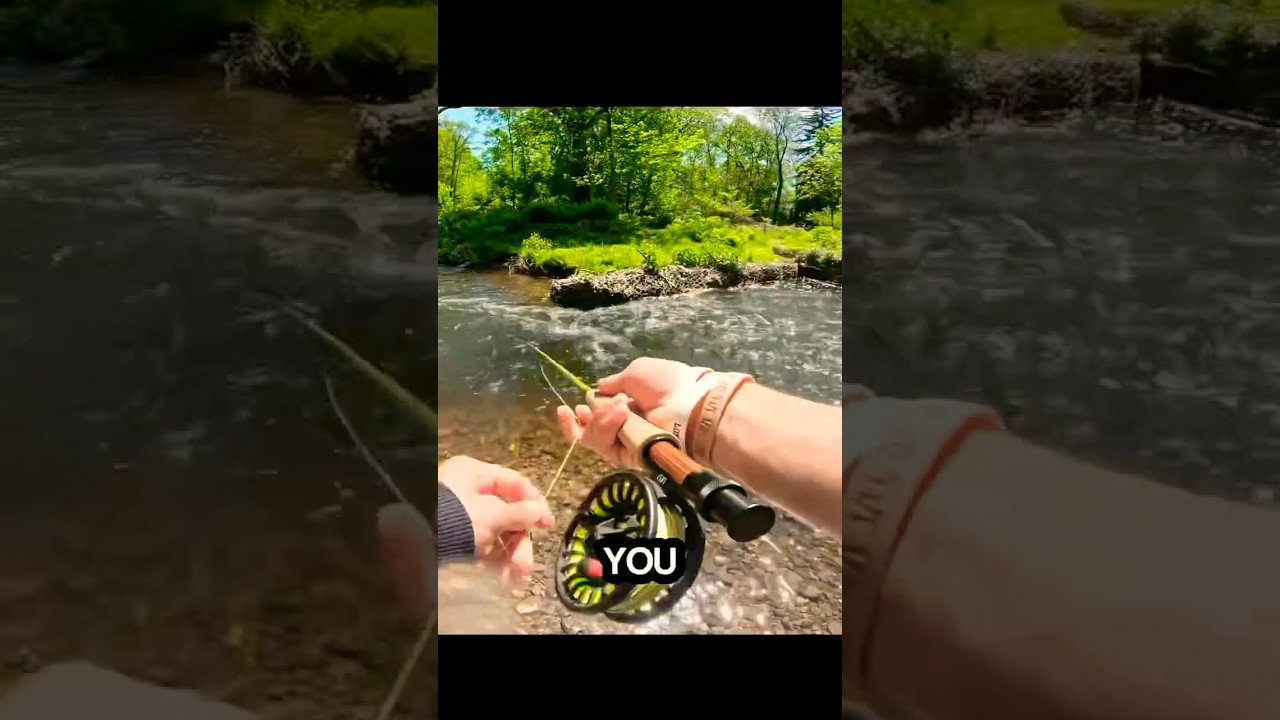 How to catch STOCKED TROUT! #fishing #trout #flyfishing #shorts #fishing