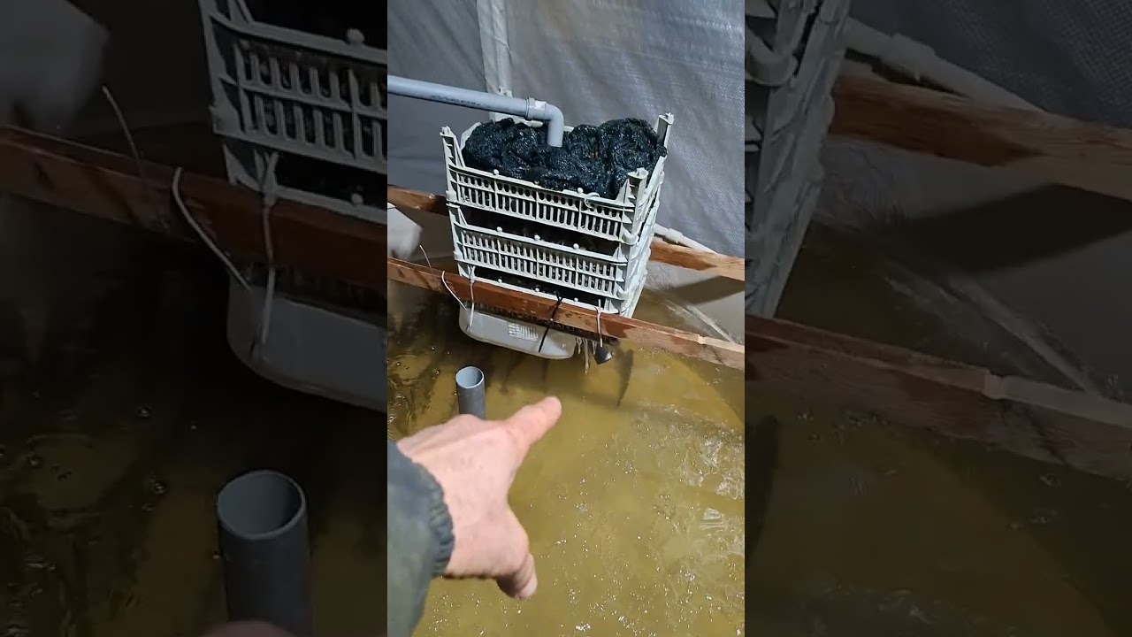 Мини узв в сарае .