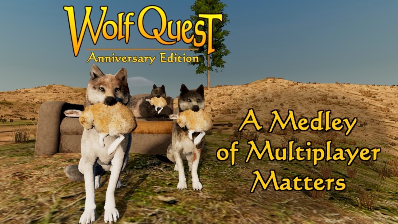 A Medley of Multiplayer Matters