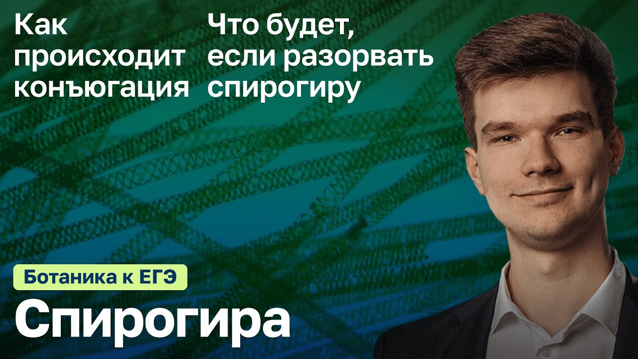 7.32. Спирогира | Ботаника к ЕГЭ | Георгий Мишуровский
