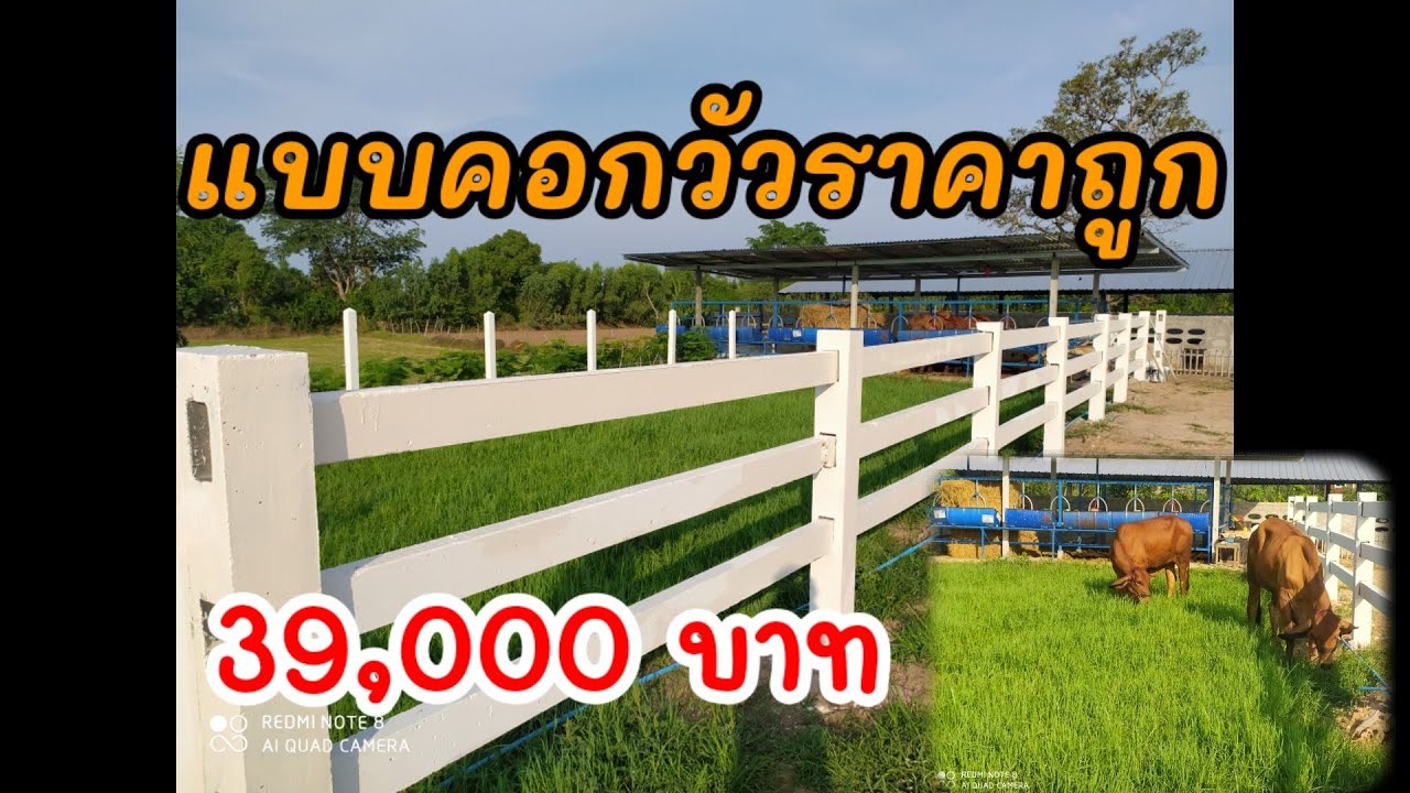แบบคอกวัวราคาถูก ขนาดพอดี คุณภาพมาตรฐาน