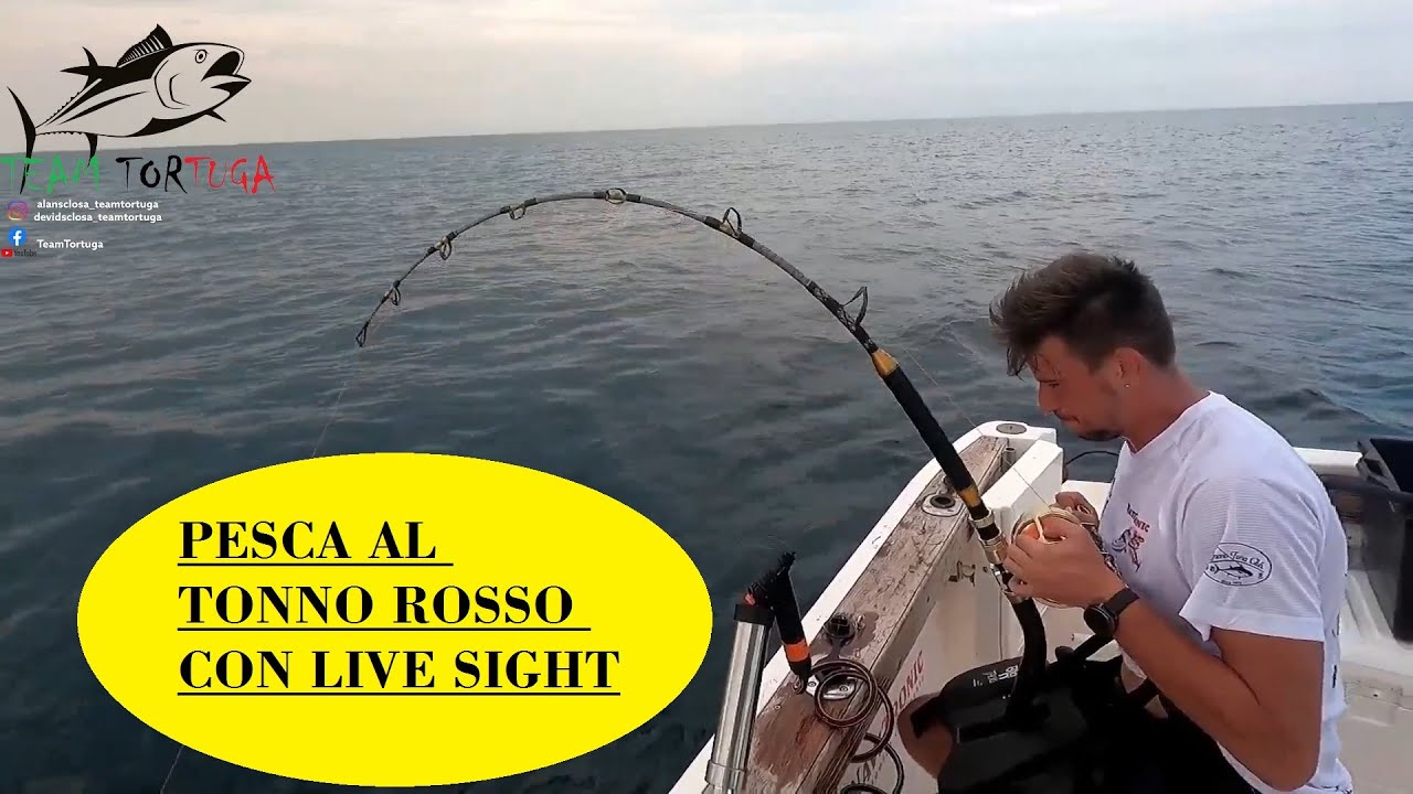 PESCA AL TONNO ROSSO CON LIVE SIGHT