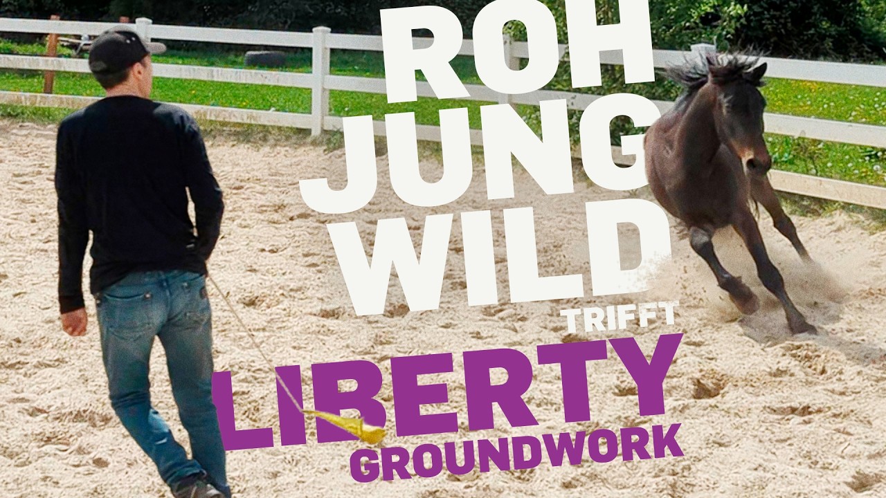Jungpferd & Liberty: Von Gegendruck zu feiner Hilfengebung