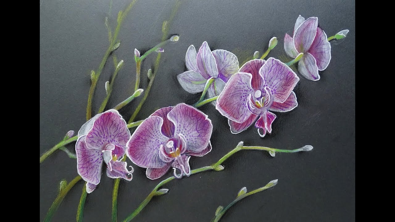 How to #Draw #ORCHIDS #Научиться #рисовать #орхидея  Come #disegnare #orchidea