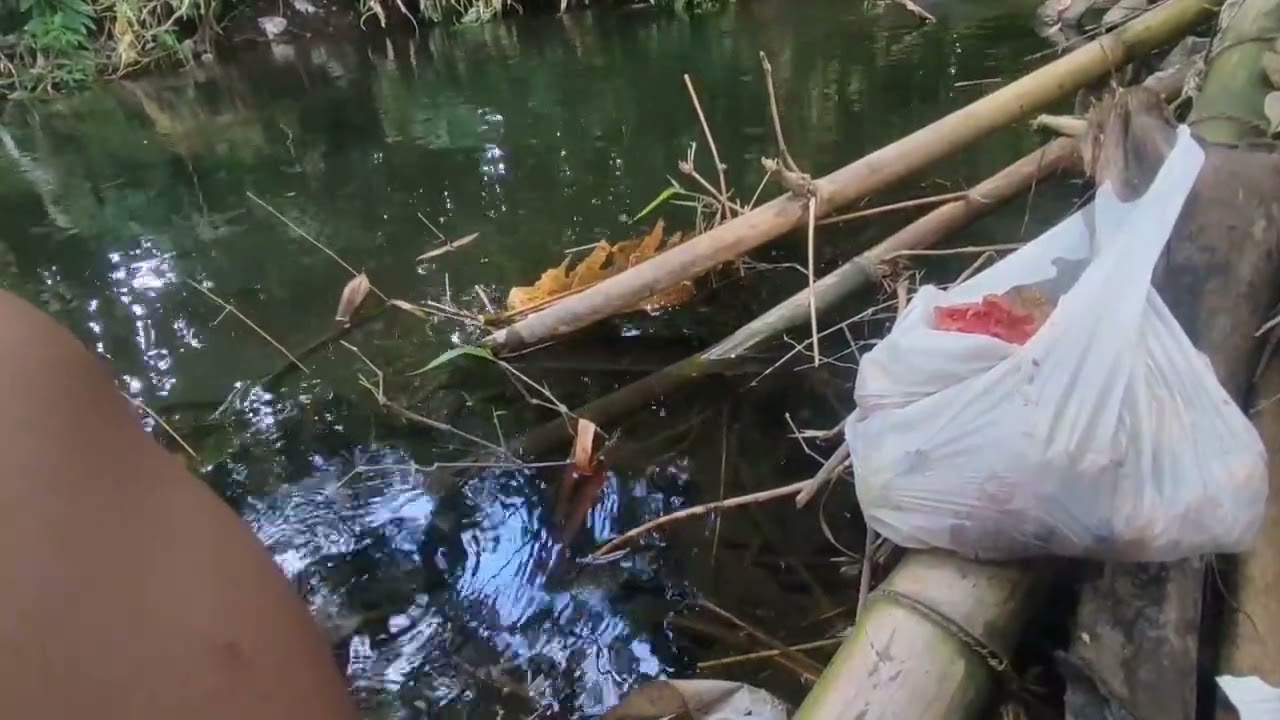 Mancing 1jam dapat segini banyaknya #fishing 