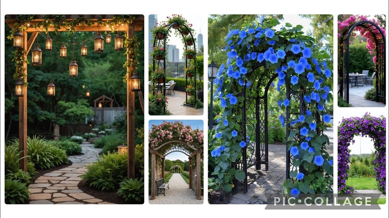 Unique garden arch ideas || beautiful climbing flowers || garden trellis ideas for outdoor