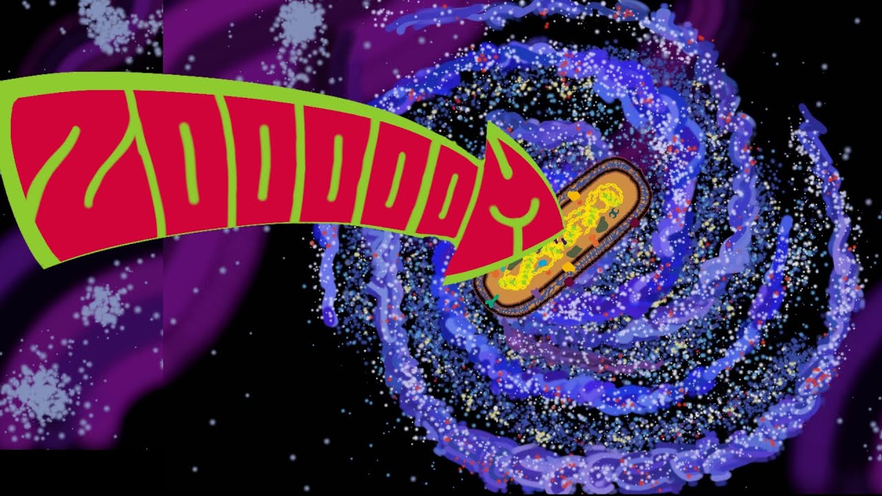 Zoom into the Universe