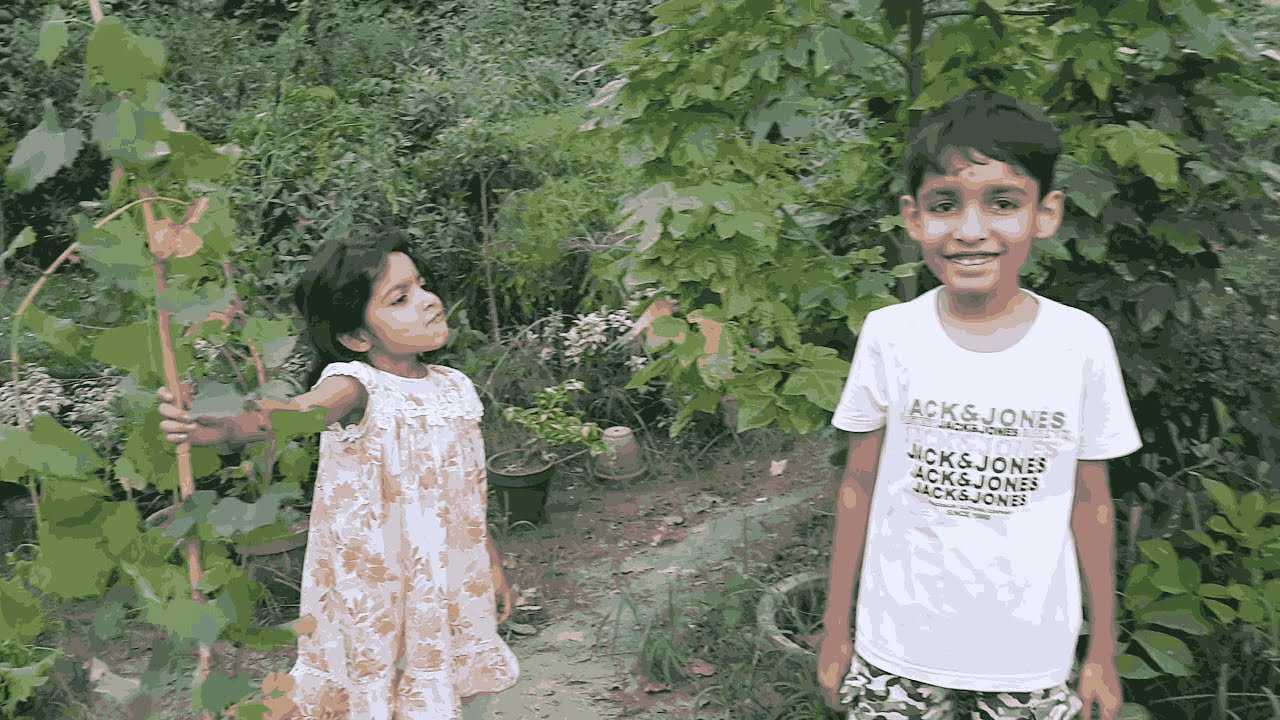 rizwan aryan zoo vlog 2