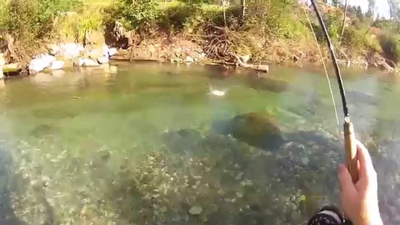 FlyFishing Dreta Savinja Mozirje