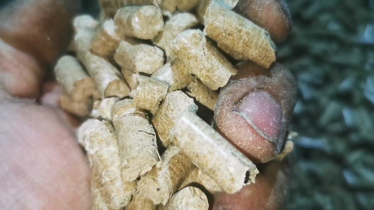 Jak robię  pellet dla siebie