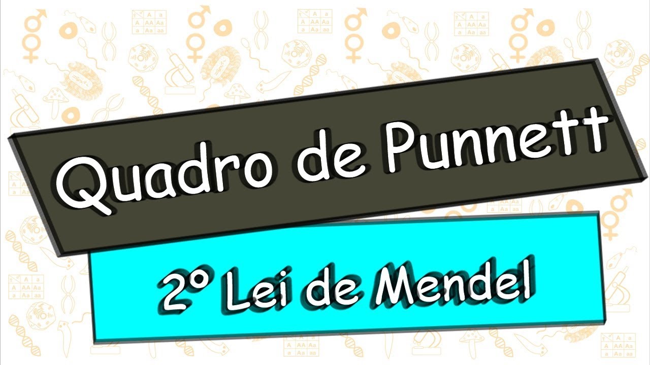 Quadro de Punnett e a Segunda Lei de Mendel.