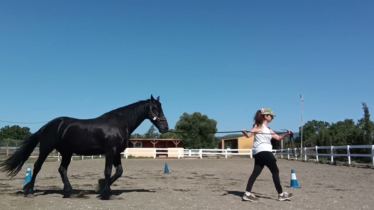 32. El trébol