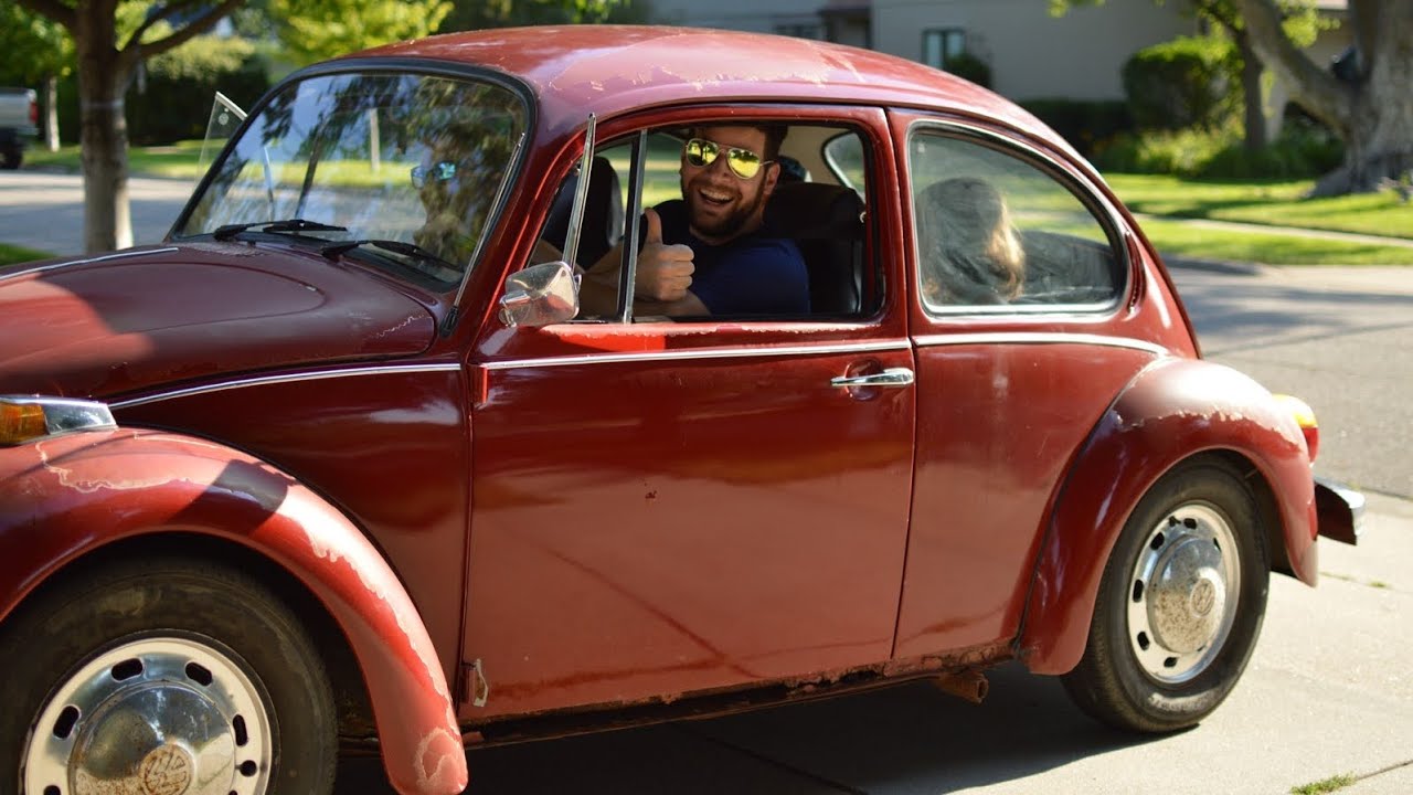The Bug: Unveiling a dream come true!
