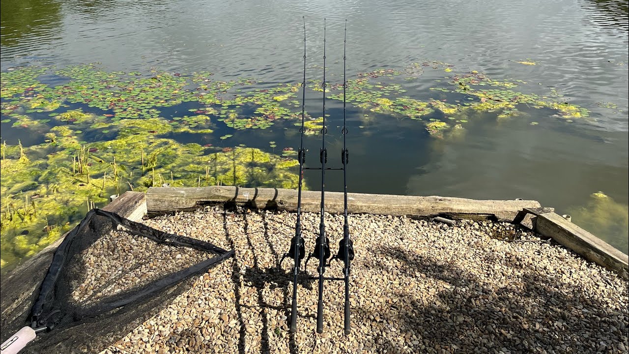 Carp blanking isn’t fun !!