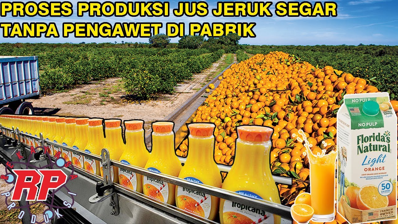 PROSES PRODUKSI PEMBUATAN JUS JERUK SEGAR DI PABRIK MODERN TANPA PENGAWET