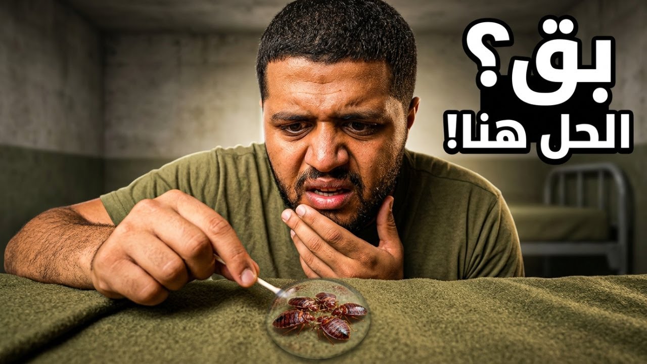 كيف تتعامل مع البق في الجيش بشكل فعال؟