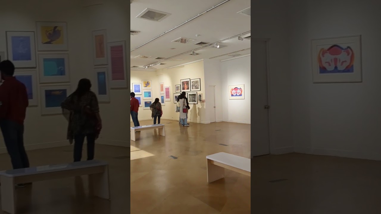 visual art gallery at India habitat centre #delhi #delhiblogger #indiahabitatcentre