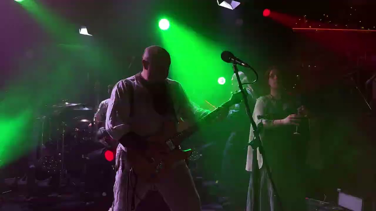 Тролль гнет ель | Зеленый (live Sherwood pub 22.02.2026)