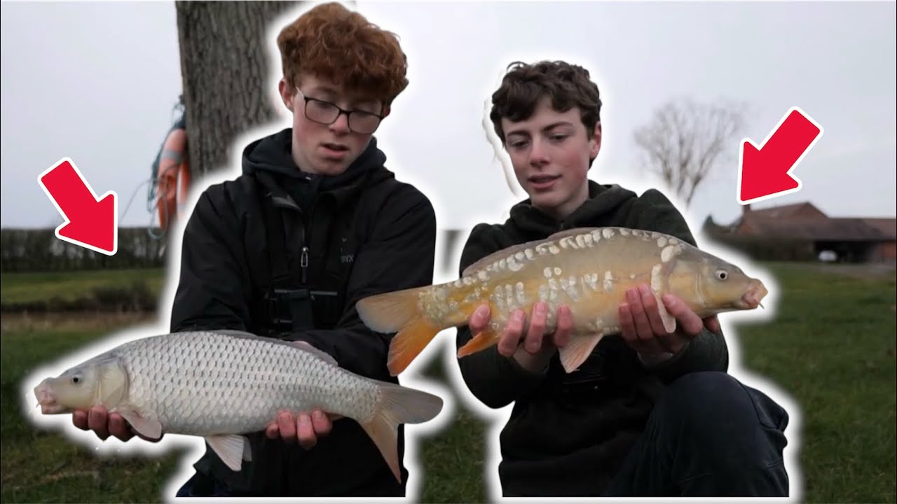 TRIPLE TAKE?!- Winter CARP FISHING Carnage