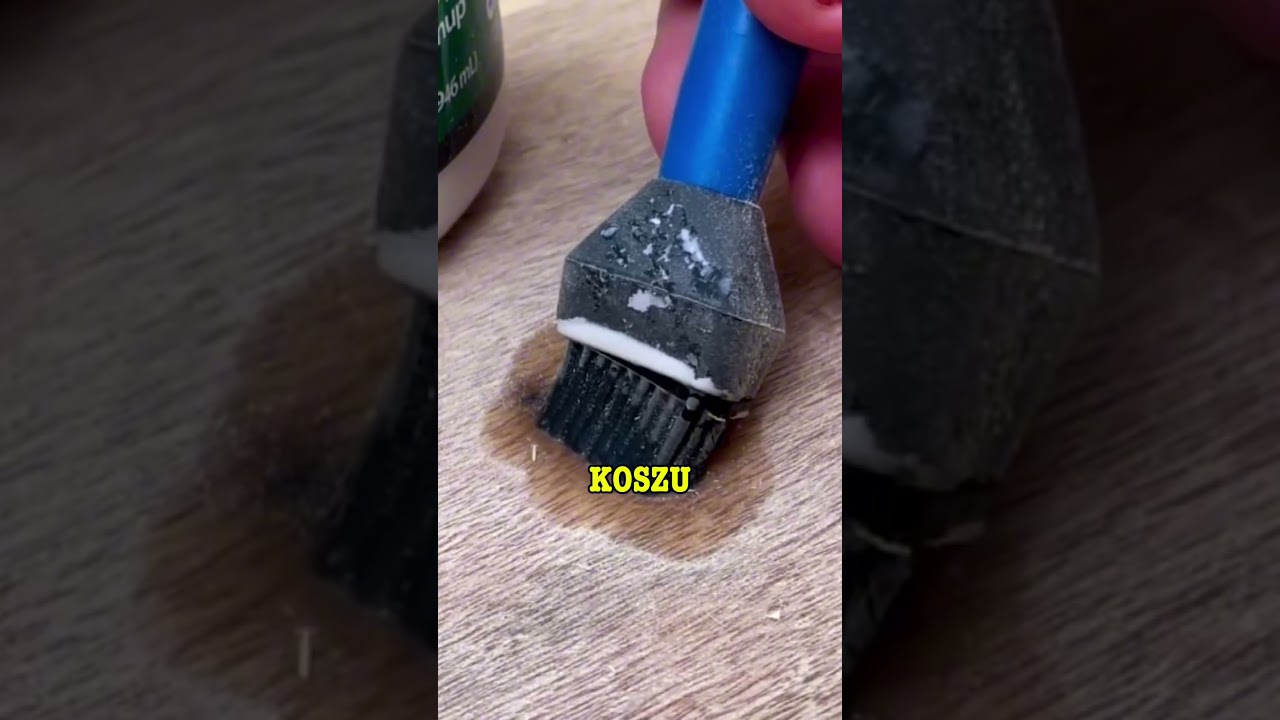 My daughter bet me that she could manage our household budget better than me for a week.